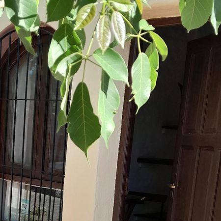 Bed and Breakfast La Montana Кафаяте Екстер'єр фото
