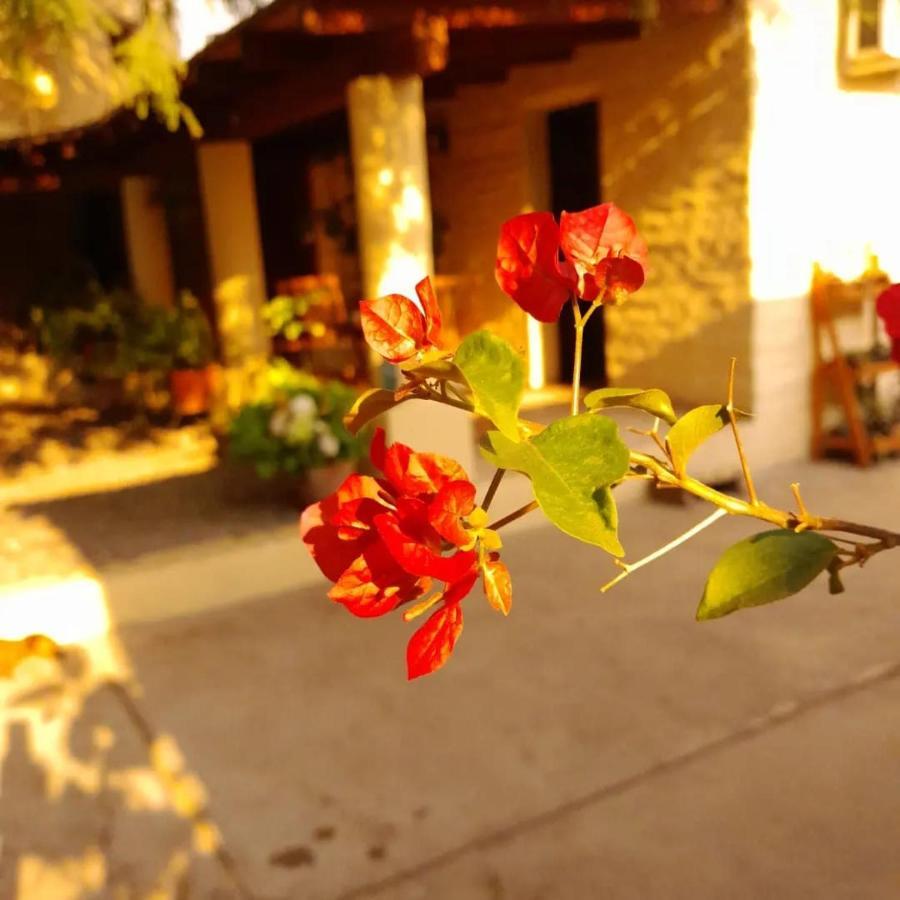 Bed and Breakfast La Montana Кафаяте Екстер'єр фото